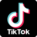 Tiktok downloader